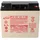 EnerSys Genesis NP18-12R 12V 18Ah M5 Flachpol AGM Blei Akku