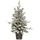 Fééric Lights and Christmas Weihnachtsbaum Frosty Mehrfarbig 70 cm