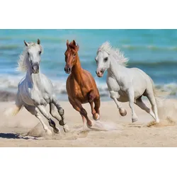 Fototapete PAPERMOON "Horse Herd Run Gallop", bunt (mehrfarbig), B:3,5m L:2,6m, Vlies, Tapeten
