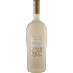 ULISSE Pinot Grigio Premium Tenuta Ulisse 2023 - 6Fl. á 0.75l