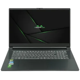 JodaBook Gaming X N17 17'' Intel Core i9-14900HX 16 GB RAM 500 GB SSD RTX 4080 Win11 Pro & Office 2024 Pro