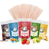 Zuckerwatte-Set, Partyset 5 x 250g: Cola, Kaugummi, Erdbeere, Apfel, Banane/Vanille, inkl. 50 Zuckerwattestäbe, 100% vegan, für Zuckerwattemaschine
