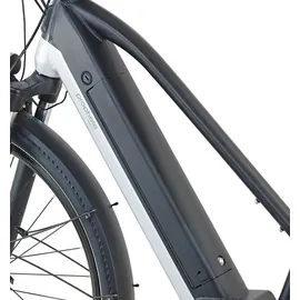 Prophete Entdecker 5.0 36V 28 Zoll RH 55 cm Schwarz-Silber Matt