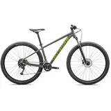 Specialized Rockhopper Base 2025 29 Zoll RH 0 cm Sage Green/Olive Green