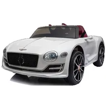 TPFLiving Bentley EXP 12 rot