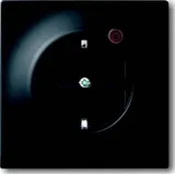 Busch-Jaeger Steckdoseneinsatz 2310EUGL/VA-775-11 Schwarz