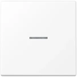 Jung Taster 1fach BT LS 17101 WWM