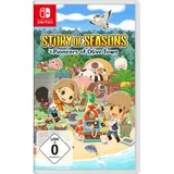 Story of Seasons Pioneers of Olive Town Nintendo Switch