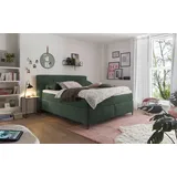 set one by Musterring Boxspringbett Fairfield 160 x 200 cm Stoff Winter Moss