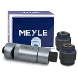 Meyle Reparatursatz, Achsschenkel