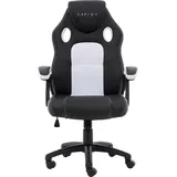 Raptor Gaming Raptor-Gaming Gaming-Stuhl RS-GS-40 schwarz/weiß