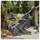 Gardena 03568-20 Laubsammler Arbeitsbreite 49cm