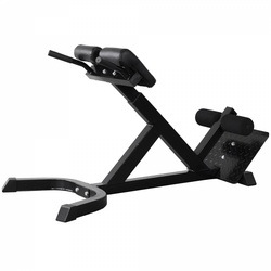 Odin Pro Hyperextension Rückentrainer