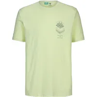 Scott Defined DRI acid yellow S