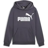 Puma ESS Big Logo FL Jungen Sweatshirt, grau - 152
