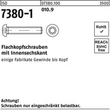 Reyher Flachkopfschraube ISO 7380-1 Innen-6kt M10x 20 010.9 200 Stück