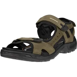 ECCO Offroad Herren Khaki/Schwarz 47