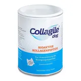 Collagile Bioaktive Kollagenpeptide 225 g
