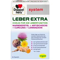 Queisser Doppelherz Leber Extra system Kapseln