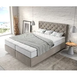 DeLife Boxspringbett Dream-Great 160x200 cm Mikrofaser Beige mit TFK Matratze und Visco Topper - Beige
