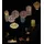 lumiz Lampion Kunststoff Ø20/H45 cm Solar gold