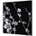 Showdown Displays Bilderrahmen Kirschblüte schwarz 40x40 cm 3er Set