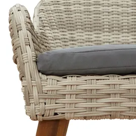 vidaXL Essgruppe Hellgrau Poly Rattan