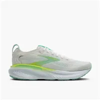 Brooks Adrenaline GTS 25 Herren Oyster/Green Gecko/Blue 45,5