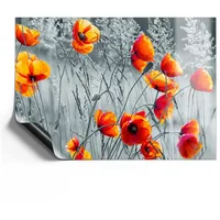 Deqori Magnetfolie universal 59x42 cm (A2) | Motiv Rote