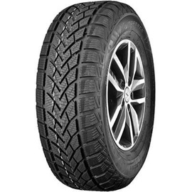 Windforce Snowblazer 205/65 R15 94H