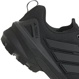 Adidas Terrex Herren Skychaser GTX Schuhe (Größe 46, schwarz)