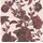 A.S. Création My Home My Spa Vliestapete Blumen 10,05 x 0,53 m 387004 Rot/Rosa