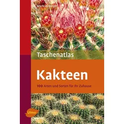 Kakteen