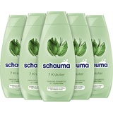 Schauma Schwarzkopf Shampoo 7 Kräuter (5x 400 ml), Haarshampoo verleiht der Haarstruktur eine leichte Frische, Frische-Shampoo für normales bis schnell fettendes Haar