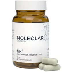 MoleQlar NR+ (Nicotinamid Ribosid)