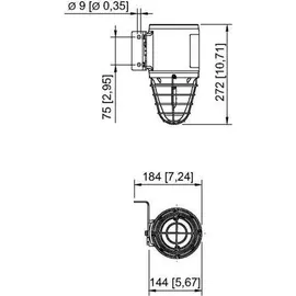 Stahl Xenon Blitzleuchte FL60/C/N50AEU#205150