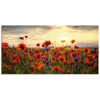 Artland Glasbild »Mohnblumen«, Blumen, (1 St.), rot