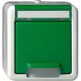 Gira Schuko-Steckdose Aufputz Grün
