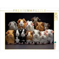 Calvendo Puzzle Meerschweinchen übereinander 1000 Teile Lege-Größe 64x48cm Foto-Puzzle