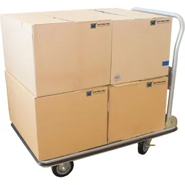 pro-bau-tec Plattformwagen 250 kg