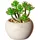 Creativ green Künstliche Zimmerpflanze CREATIV GREEN "Sukkulenten", grün, H:9cm Ø:7cm, Kunststoff, Kunstpflanzen, Künstliche Zimmerpflanze, Deko-Pflanze im Zementtopf, 6er Set