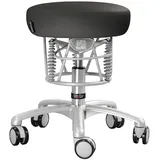 bioswing Foxter Therapiestuhl, Anthrazit, NEU