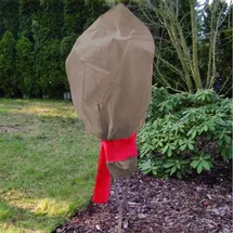 Xclou Rosenschutzhaube Pflanzenschutz 0,8 x 0,75 m 3 Stk
