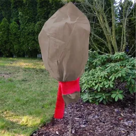 Xclou Rosenschutzhaube Pflanzenschutz 0,8 x 0,75 m 3 Stk