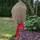 Xclou Rosenschutzhaube Pflanzenschutz 0,8 x 0,75 m 3 Stk