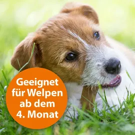 ARDAP Zecken- und Floh Halsband für große Hunde über 25 kg