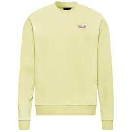 Jack Wolfskin Celebrate The Paw Sweatshirt Mehrfarbig L