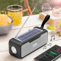 InnovaGoods Wireless Speaker with Solar Charging and LED Torch Sunker InnovaGoods