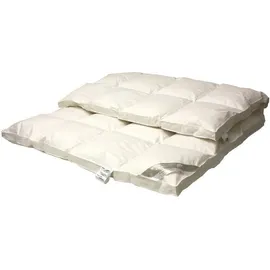 Betten Hofmann Premium 8cm Hochsteg Winter Daunenbett Bettdecke 4x6 Außensteg 135x200 cm - Weiß