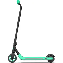 Segway-Ninebot Zing A6 schwarz/grün